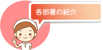 各部署の紹介